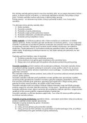 Kainodaros organizavimas: kanceliarinių prekių prekyba 7 puslapis