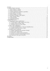 Kainodaros organizavimas: UAB "Dainiai" 2 puslapis