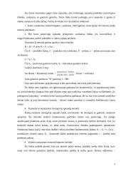 Kainodaros organizavimas: UAB "Dainiai" 5 puslapis