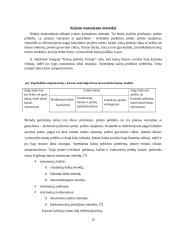 Kainodaros organizavimas: UAB "Juodšilių paukštynas" 12 puslapis