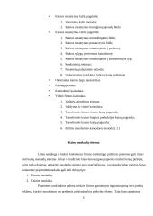 Kainodaros organizavimas: UAB "Juodšilių paukštynas" 13 puslapis