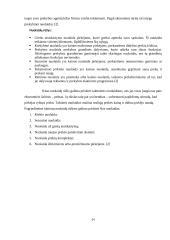 Kainodaros organizavimas: UAB "Juodšilių paukštynas" 14 puslapis