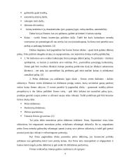 Kainodaros organizavimas: UAB "Juodšilių paukštynas" 4 puslapis