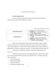 Kainodaros organizavimas: UAB "Juodšilių paukštynas" 6 puslapis