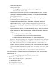 Kainodaros organizavimas: UAB "Juodšilių paukštynas" 7 puslapis