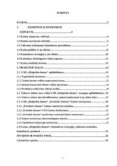 Kainodaros organizavimas: UAB "Klaipėdos duona" 2 puslapis