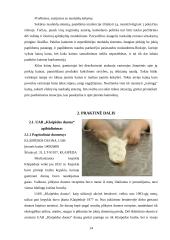 Kainodaros organizavimas: UAB "Klaipėdos duona" 14 puslapis