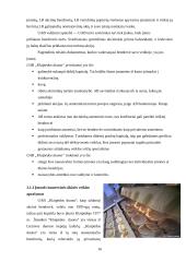 Kainodaros organizavimas: UAB "Klaipėdos duona" 16 puslapis