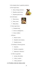 Kainodaros organizavimas: UAB "Klaipėdos duona" 18 puslapis