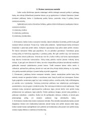 Kainodaros organizavimas: UAB "Klaipėdos duona" 5 puslapis