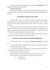 Kainodaros organizavimas: UAB "Sodo baldai" 13 puslapis