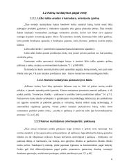 Kainodaros organizavimas: UAB "Sodo baldai" 6 puslapis