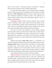 Kainodaros politika: AB "Hansabankas" 10 puslapis