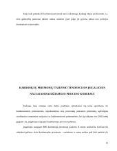 Kardomųjų priemonių samprata 12 puslapis