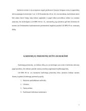 Kardomųjų priemonių samprata 7 puslapis