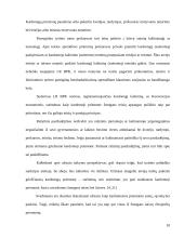 Kardomųjų priemonių samprata 10 puslapis