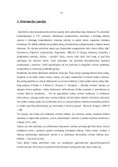 Komunikacinis ir pragmatinis vertimo teksto aspektas 14 puslapis