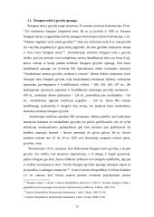 Konstitucinė žmogaus teisių ir laisvių apsauga 12 puslapis