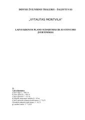 Laivo krovos plano sudarymas ir jo stovumo įvertinimas: didysis žvejybinis traleris–šaldytuvas "Vytautas Montvila" 2 puslapis