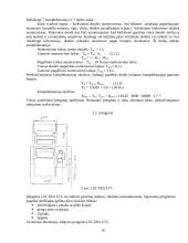Lengvų drabužių siuvimo fabriko sukirpimo cechas 10 puslapis