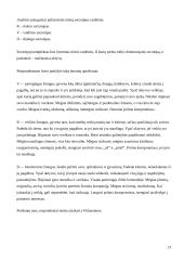 Lyderystės ir vadovavimo ypatumai šiuolaikinėje visuomenėje 13 puslapis