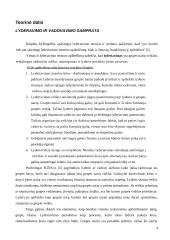 Lyderystės ir vadovavimo ypatumai šiuolaikinėje visuomenėje 4 puslapis