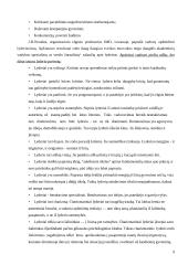 Lyderystės ir vadovavimo ypatumai šiuolaikinėje visuomenėje 9 puslapis