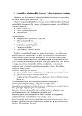 Lietuviškos kilmės prekių eksporto statistinis tyrimas 4 puslapis