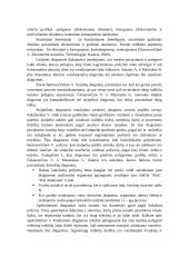 Lietuviškos kilmės prekių eksporto statistinis tyrimas 10 puslapis