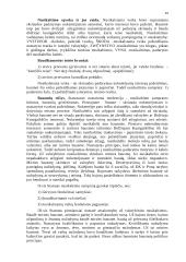 Lietuvos konstitucinės teisės ištakos 13 puslapis