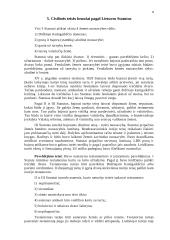 Lietuvos konstitucinės teisės ištakos 9 puslapis