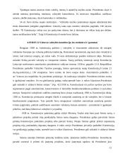 Lietuvos valstybės konstitucijų ypatumai 11 puslapis