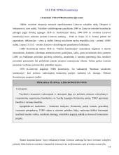 Lietuvos valstybės konstitucijų ypatumai 13 puslapis