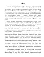 Lietuvos valstybės konstitucijų ypatumai 2 puslapis