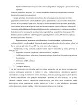 Lietuvos valstybės konstitucijų ypatumai 20 puslapis