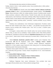 Lietuvos valstybės konstitucijų ypatumai 8 puslapis