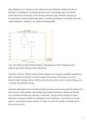 Marijampolės apskrities užimtųjų statistinis tyrimas 5 puslapis