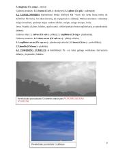 Meteorologinės skrydžių sąlygos debesyse ir jų poveikis skrydžių saugumui 8 puslapis