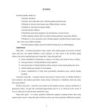Namų ūkio biudžeto statistinė analizė 2 puslapis