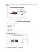 Namų ūkio biudžeto statistinė analizė 7 puslapis