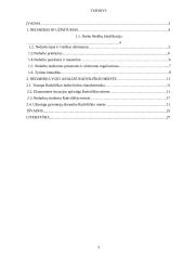 Nedarbo lygio Radviliškio mieste statistinis tyrimas 3 puslapis