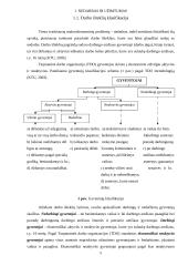 Nedarbo lygio Radviliškio mieste statistinis tyrimas 5 puslapis