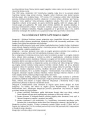Neįgalių vaikų integracija Lietuvoje 2 puslapis