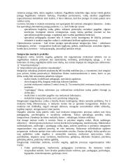 Neįgalių vaikų integracija Lietuvoje 4 puslapis