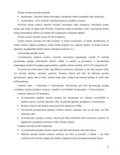 Nekilnojamojo turto sandoriai 13 puslapis