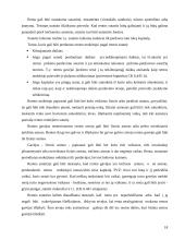 Nekilnojamojo turto sandoriai 18 puslapis