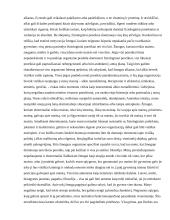 Neurologiniai motyvacijos koreliatai 3 puslapis