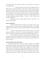 Nežymiai sutrikusio intelekto mokinių šnekamosios kalbos ypatybės 9 puslapis