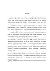 Nusikaltimai valstybės tarnybai ir viešiesiems interesams 2 puslapis