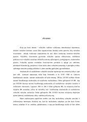 Nusikaltimai valstybės tarnybai ir viešiesiems interesams 16 puslapis